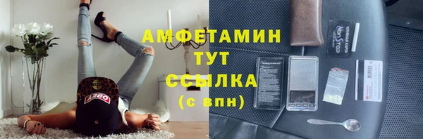твердый Арсеньев