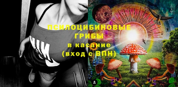 твердый Арсеньев