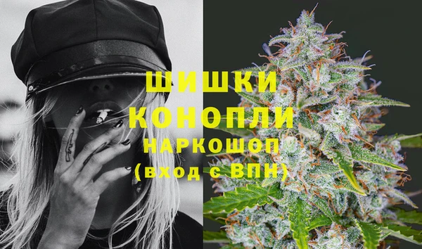 твердый Арсеньев