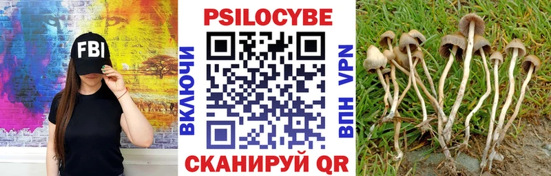 Псилоцибиновые грибы Cubensis  omg tor  Электроугли  наркотики 
